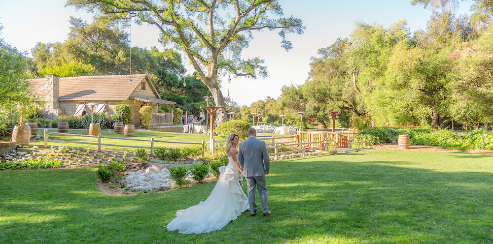 Wedding Photos